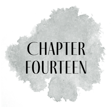 an image button for chapter fourteen